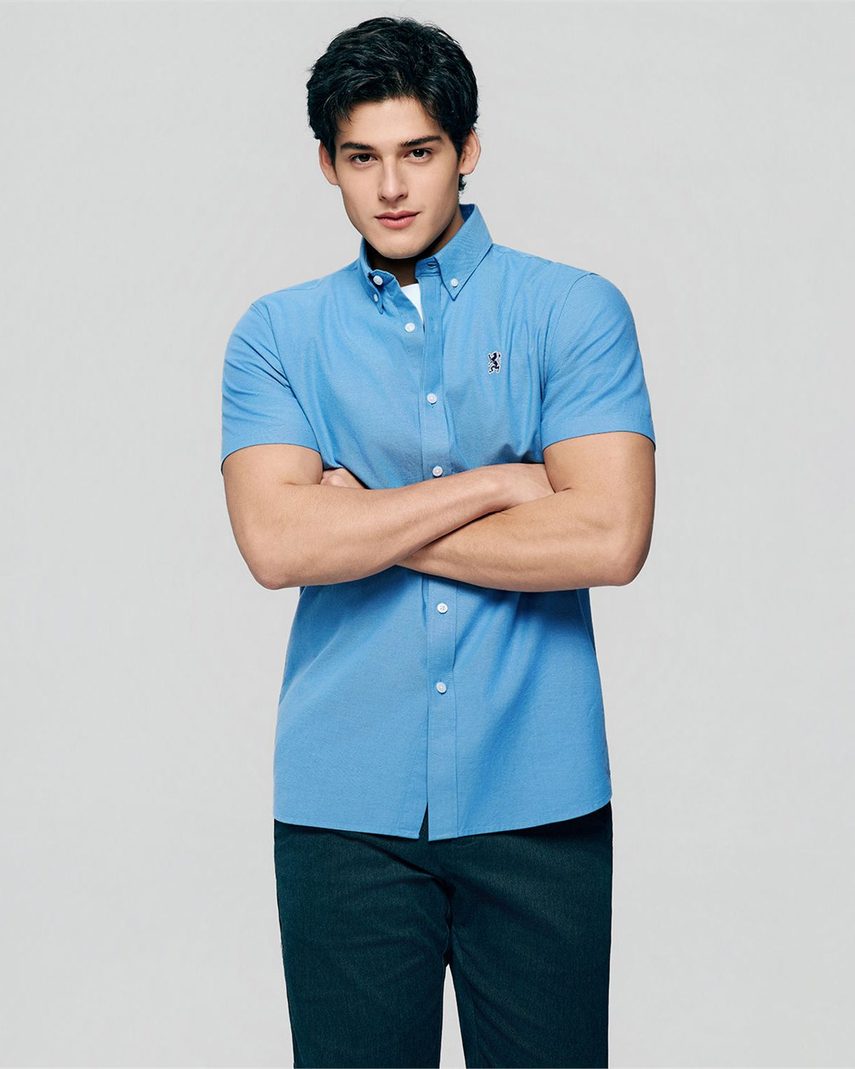 Men's Lion Oxford Slim Short Sleeve Shirt - Image 4