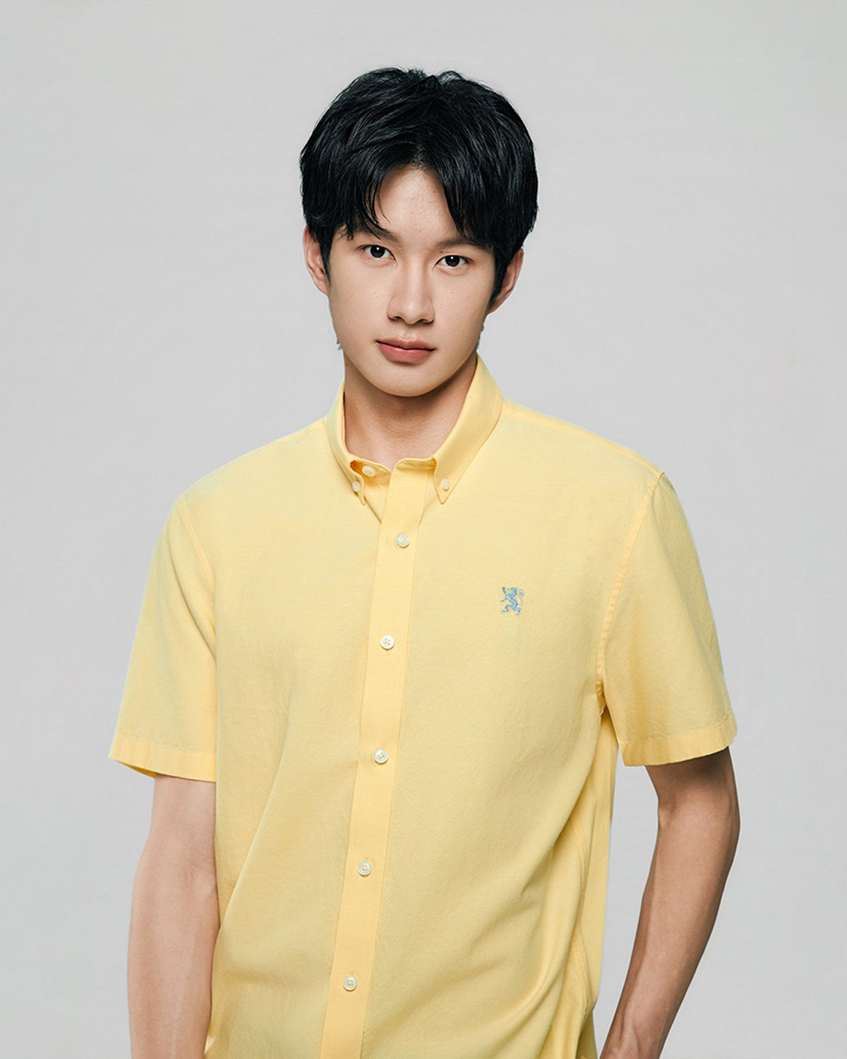 Men's Lion Oxford Slim Short Sleeve Shirt - Image 5