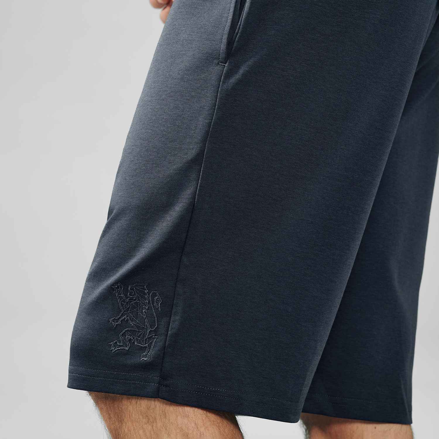 Men's Mid Rise Regular Embroidery Shorts - Image 4