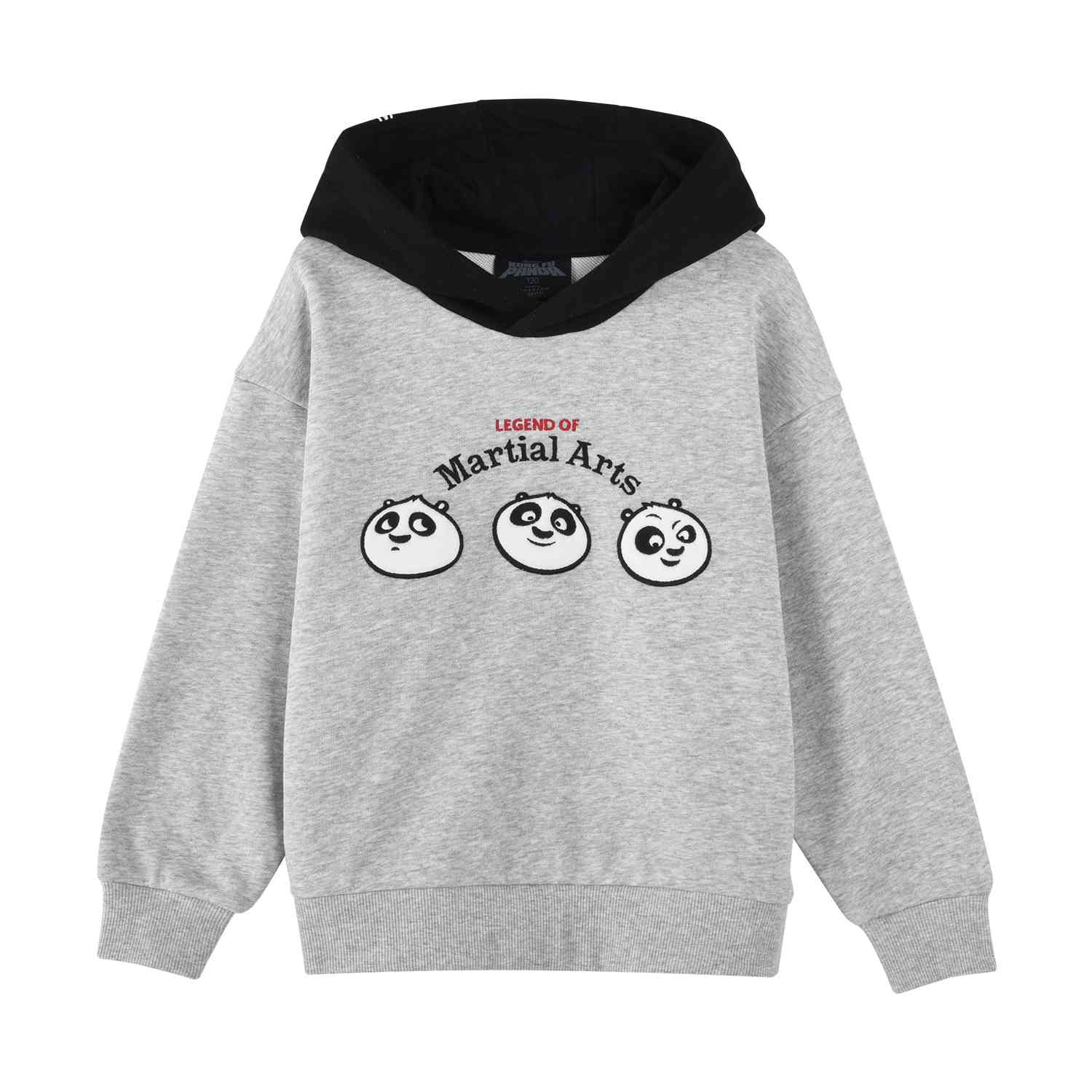 Kids Kung Fu Panda Series French Terry Hoodie - Giordano