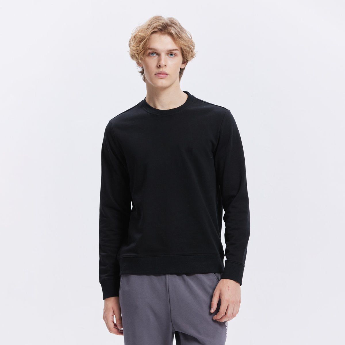 Men's French Tery Crew Neck Long Sleeve Regular Sweatshirt (Beau Monde) - Giordano Online