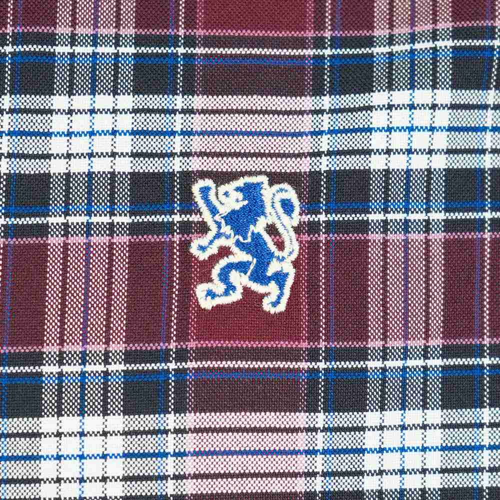 Men's Lion Oxford Shirt - Image 4