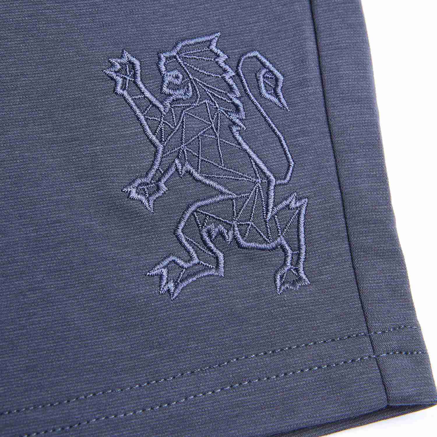 Men's  Mid Rise Regular Embroidery Shorts - Image 9