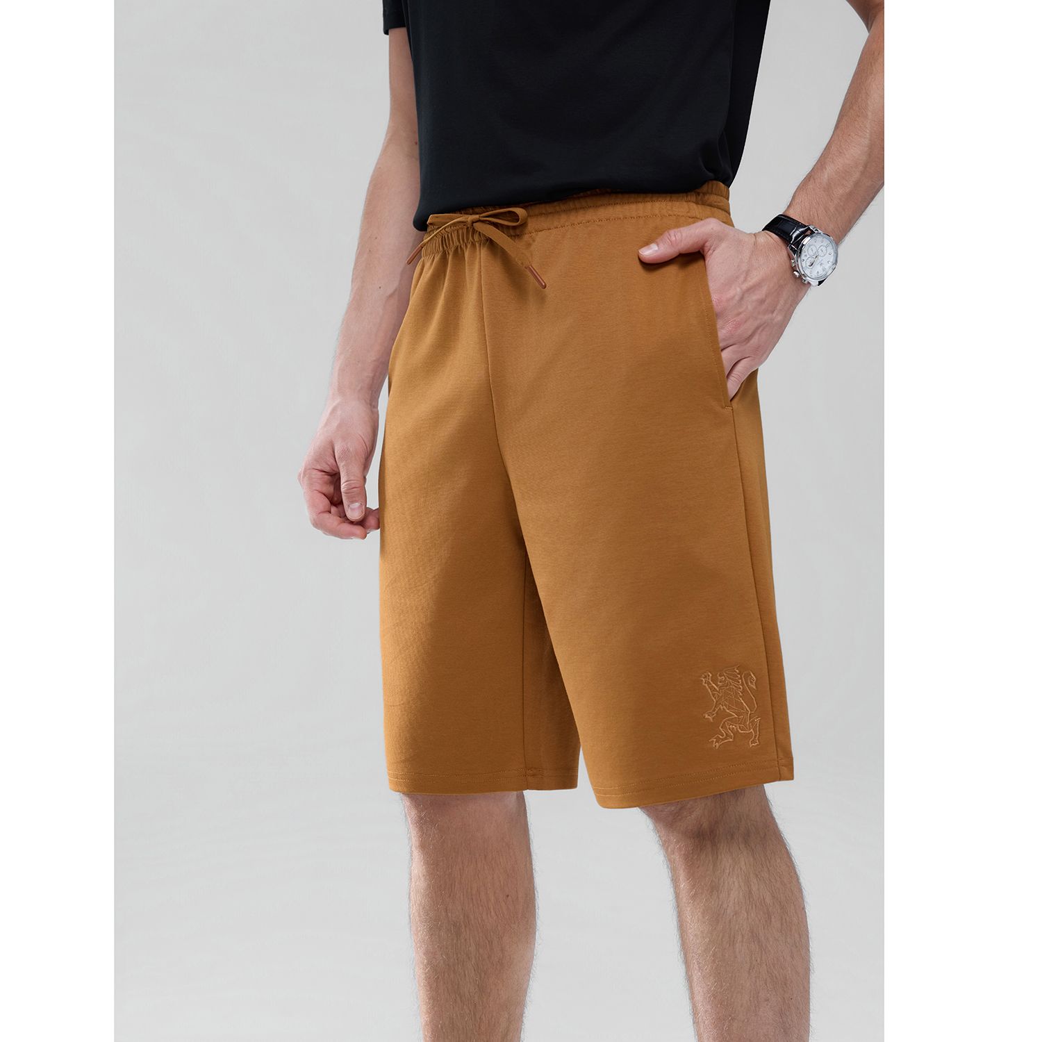 Men's  Mid Rise Regular Embroidery Shorts - Image 4