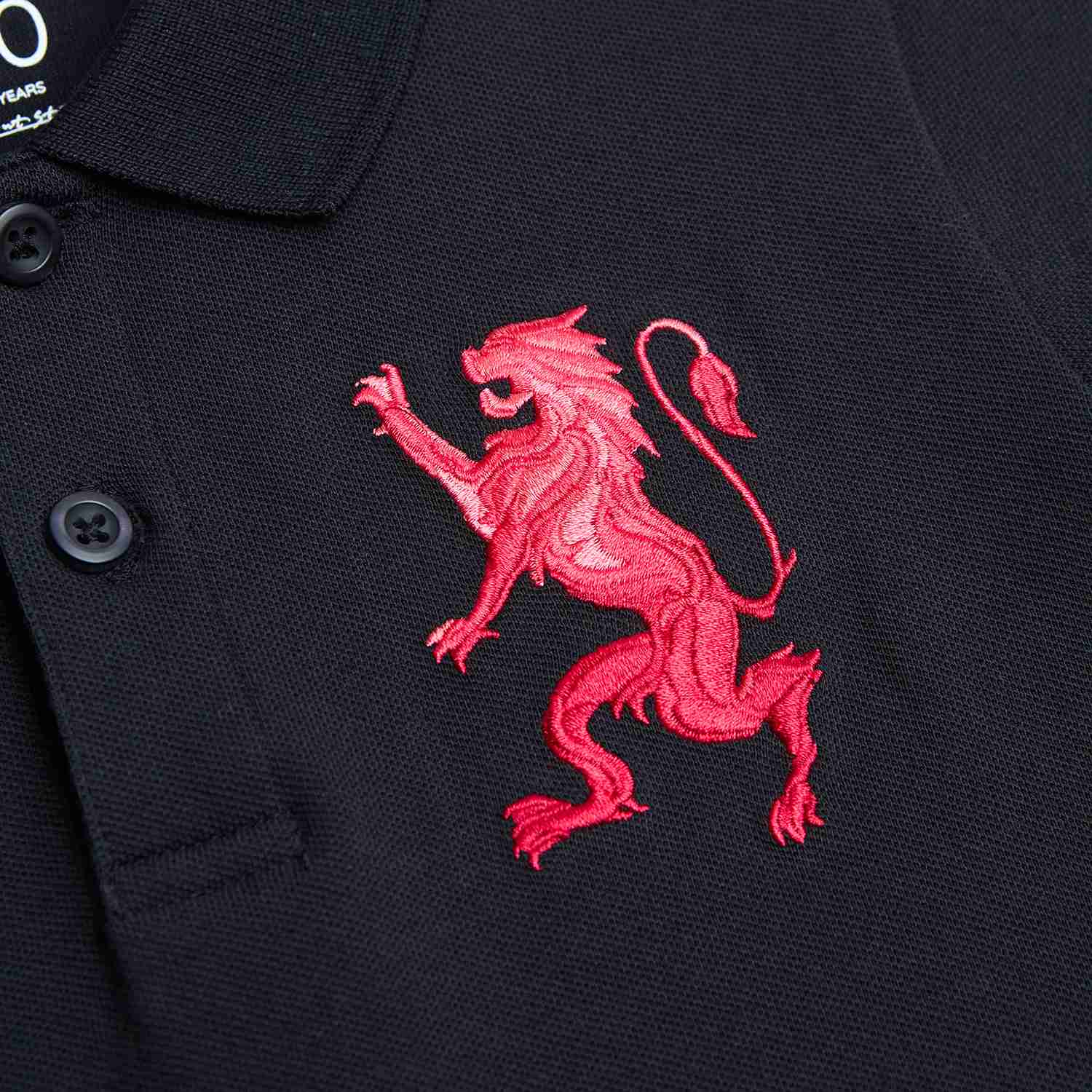 Junior's Slim Fit Lion Embroidered Cotton Polo - Image 9