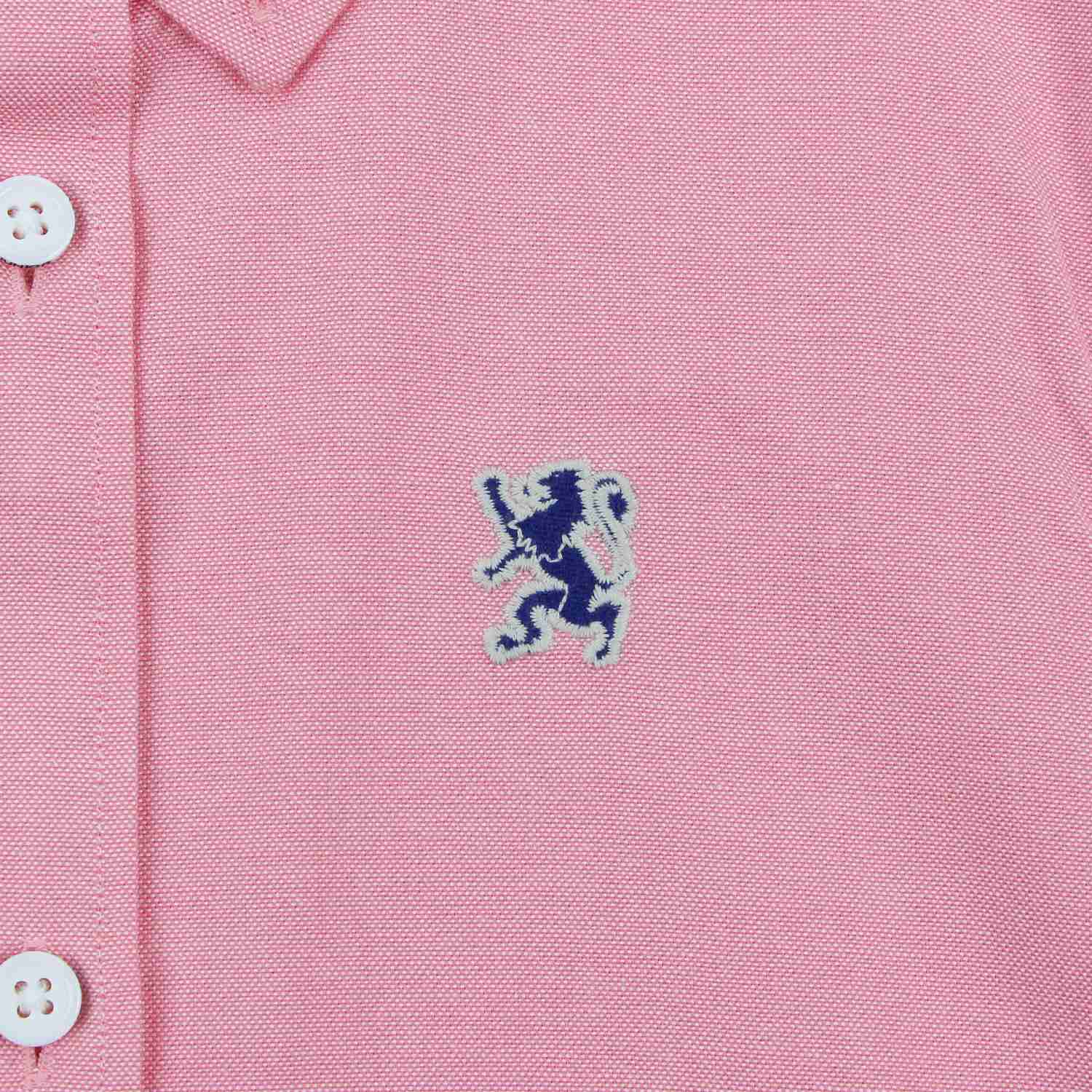 Junior's Regular Fit Embroidered Oxford Shirt - Image 9