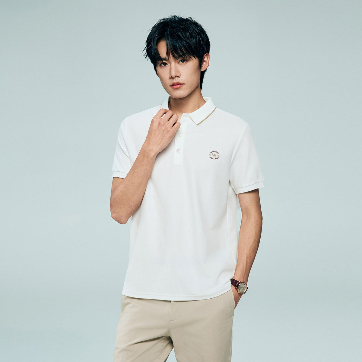 Men's Regular Embroidery Solid Polo - Image 1