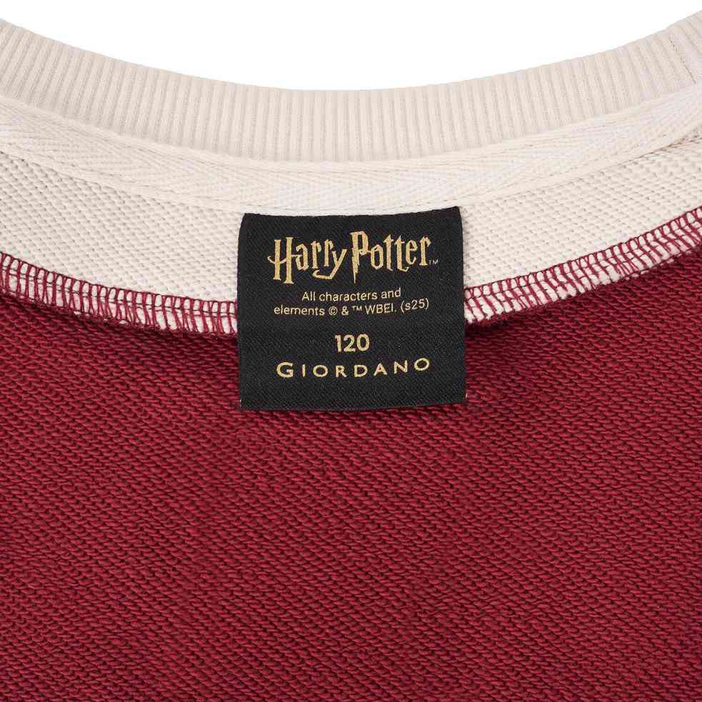 Junior's Harry Potter Oversize V - Neck Style Sweatshirt - Giordano