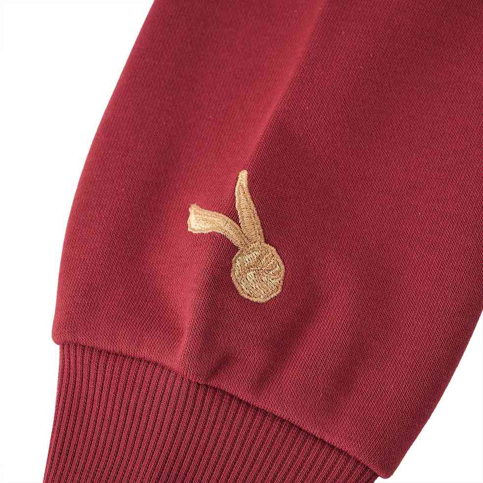 Junior's Harry Potter Relaxed Fit Graphic Hoodie - Giordano