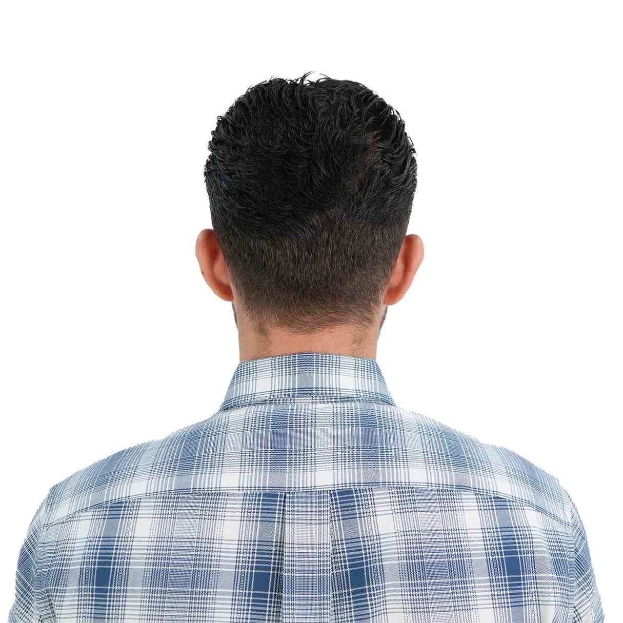 Men's Lion Oxford Shirt - Giordano Online