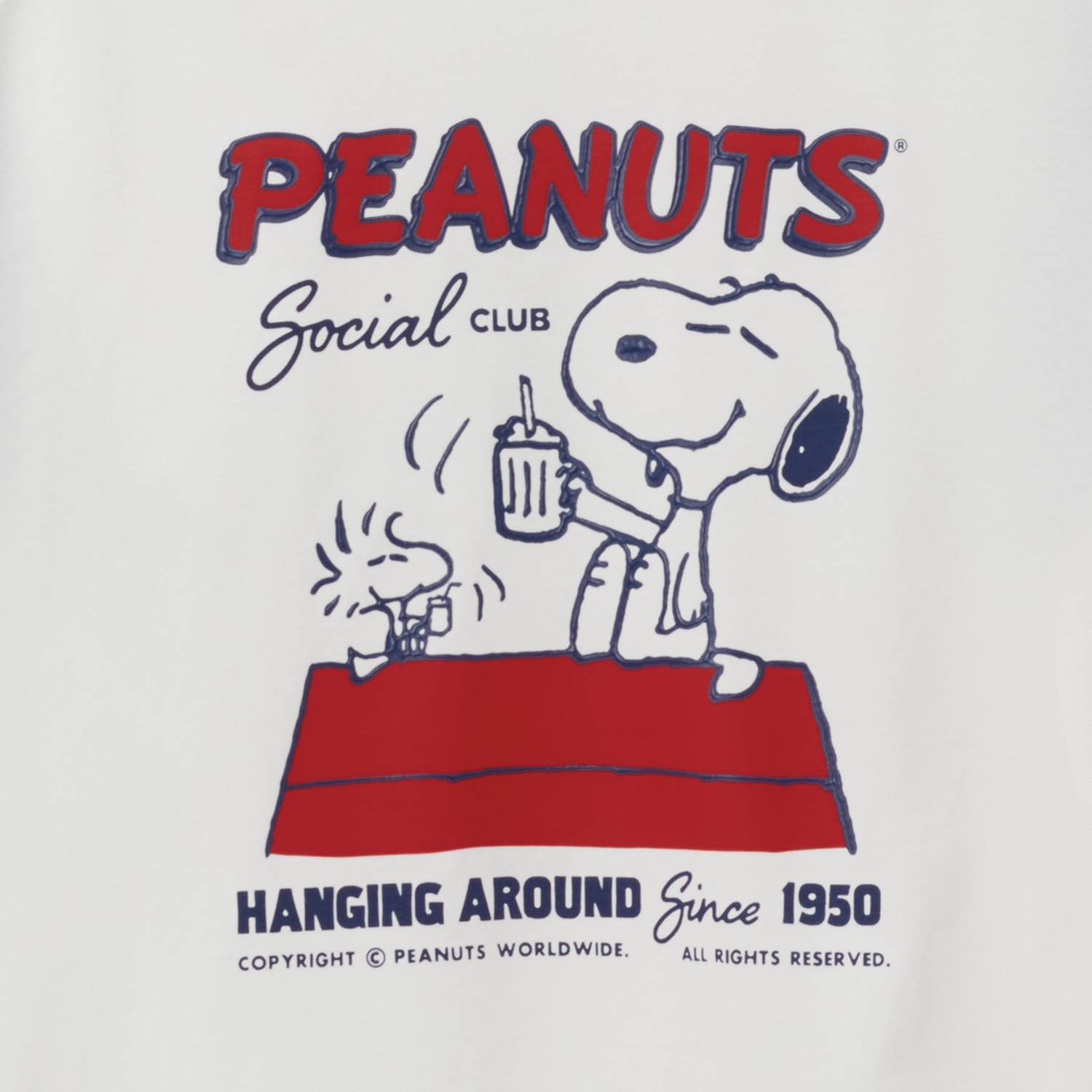 Men's Relaxed Snoopy Print Tee - Giordano