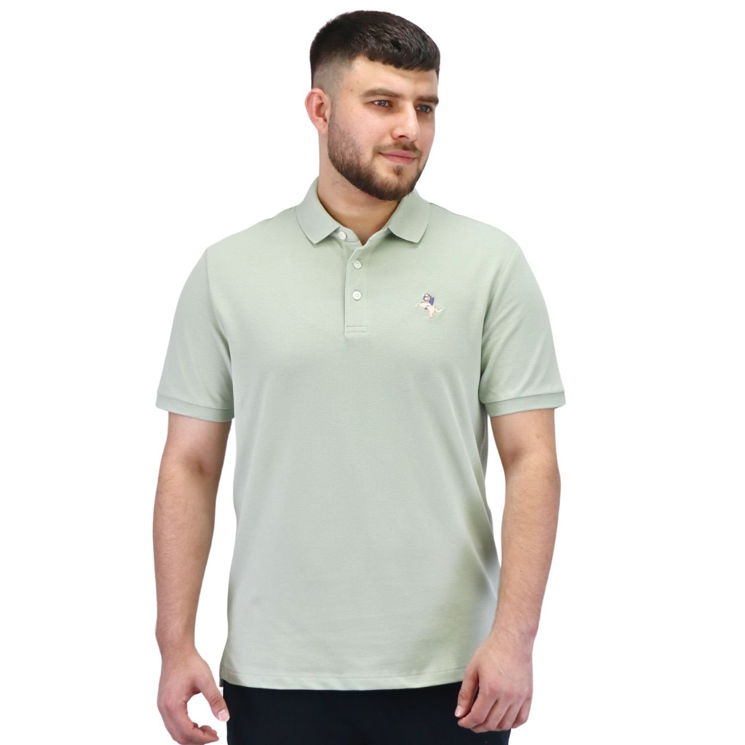 Men's Rider Polo - Green - Giordano Online