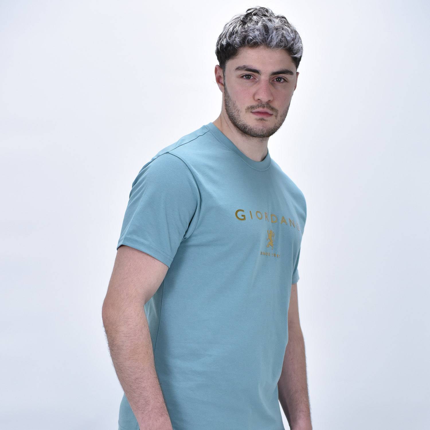 Men's Signature Print Tee - Blue - Giordano Online